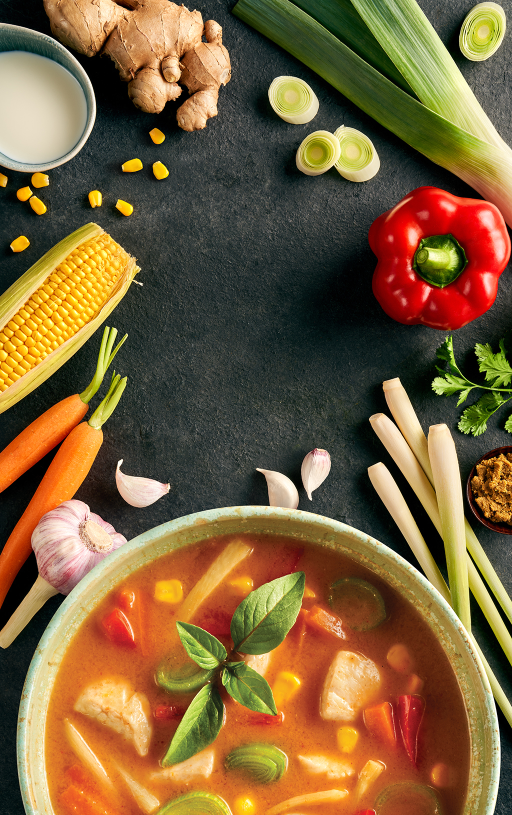 Shot for thai soup packshot with dark background